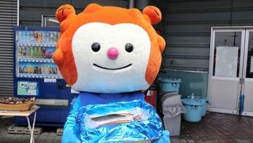 宮城・気仙沼の「生かつおタタキ」ゆうパック　2年ぶり出発式　今年は水揚げ好調