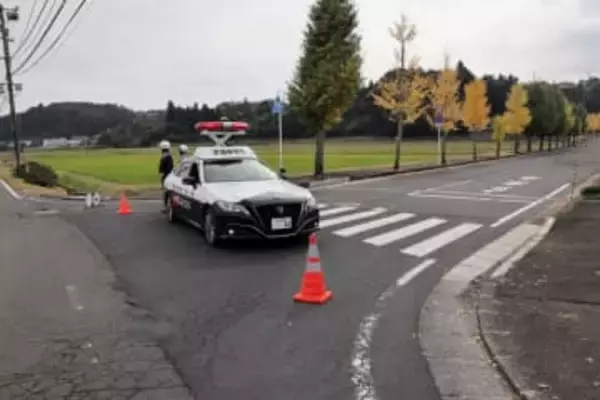 イチョウに登った熊は麻酔銃で捕獲　仙台・住吉台東