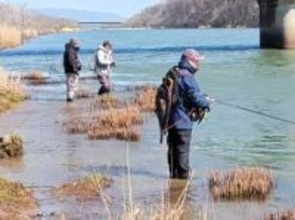 山形・庄内の春の味覚　サクラマス釣り本番　