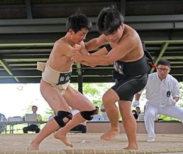 仙台相撲クラブが初優勝　宮城農高相撲部への出稽古が結実＜宮城県中総体・相撲＞