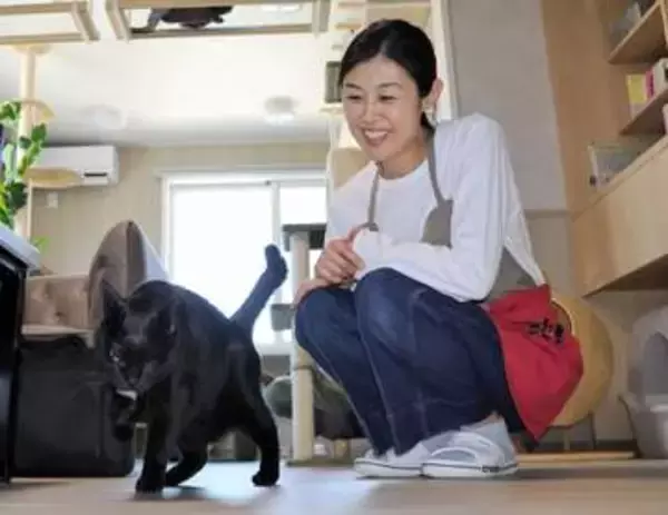 保護猫、橋渡しするニャ～　自然体の吾輩みて　仙台・上杉に「ちぐら堂」