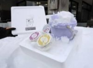 雪国気分味わって　岩手・西和賀「雪あかり」体験できるキット発売