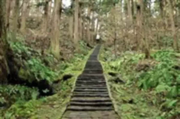 12年に1度の鶴岡・羽黒山「午歳ご縁年」ワンコインで特別ツアー