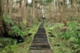 12年に1度の鶴岡・羽黒山「午歳ご縁年」ワンコインで特別ツアー