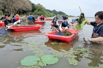 ラムサール登録湿地の宮城・伊豆沼保全へ　トヨタグループ企業の110人が環境保全活動