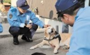 警察犬の仕事、新人警官が学ぶ　＜みちのく＞