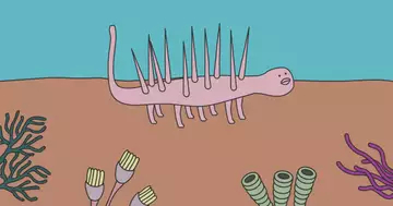生成AIで仕事激減のクリエイター、「村上春樹構文」を語る生物をアニメで復活させる