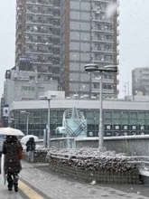 神奈川の2市8町に大雪注意報　横浜でも降雪、8日にかけて強まる見通し
