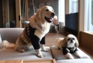 愛犬と一緒に宿泊を…関東最大級のドッグランも　神奈川に高級ホテル「リトナ箱根」が15日開業　全室温泉付き