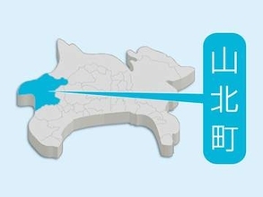 山北町の国道246号でのり面から石落下…走行中の乗用車が乗り上げる