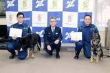 「頼りになる嗅覚と集中力、神奈川で警察犬の出動が増加傾向　25年は728件、目立つ高齢者の捜索事案」の画像1