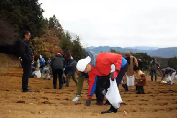 クマが山で餌を確保できる環境へ　神奈川・南足柄の山中でドングリまき　人里への出没防止、広がる賛同