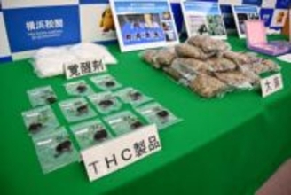 横浜税関、違法薬物88キロ押収　2025年、大幅減も密輸事件は後絶たず