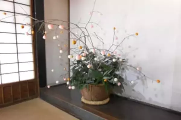 大和で小正月の風習再現　かつて養蚕農家で行われた「繭玉団子飾り」　1月14日まで市郷土民家園で