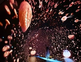 ワンダリア横浜、17日から映像をハロウィーン仕様に　パンプキンドーナツなど期間限定メニューも