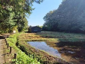 「あつぎこどもの森公園」環境省の自然共生サイトに認定　厚木市内で初