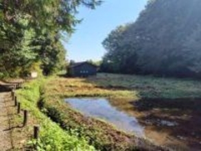 「あつぎこどもの森公園」環境省の自然共生サイトに認定　厚木市内で初