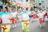 「「神奈川大和阿波おどり」節目の50回　過去最多12の演舞場に約1400人、関東三大阿波踊りの一つ」の画像1