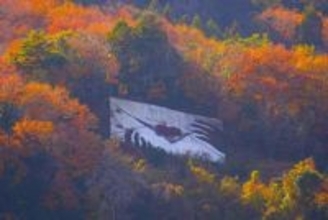 燃ゆる紅葉と「ラブレター」　相模原・藤野地区から届く晩秋だけの景色、見頃は12月上旬頃まで