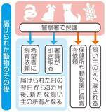 「神奈川県警、「動物の落とし物」取扱件数が高止まり　お世話する署員からは切実な声も、「犬は一定期間たつと…」」の画像1