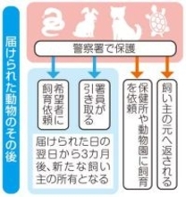 神奈川県警、「動物の落とし物」取扱件数が高止まり　お世話する署員からは切実な声も、「犬は一定期間たつと…」