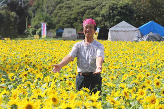 季節外れのヒマワリ満開 南足柄市のユートピア農園 1万本、秋風に揺れ