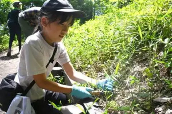 川崎・生田緑地でホタルが年々増加　「里山の風景残したい」地元有志、自然保護に注力