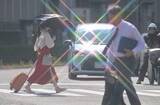 「神奈川に熱中症警戒アラート、4日連続　7月23日は危険な暑さ予想　」の画像1