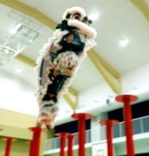 中華獅子舞の演舞競う世界大会　横浜で5日、国内初開催　中華街からも2チーム参加　芸術性と躍動感が観客魅了