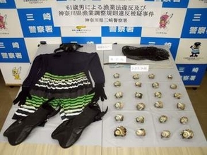 サザエ22個密漁した疑い、三浦の男を逮捕　戸津浜で採取制限のふた直径3センチ以下…許可なく　