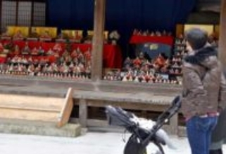 三浦・海南神社でひな人形400体ずらり　一足早く春味わう、3月7日まで
