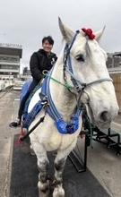 「午年」に正月競馬いかが　川崎競馬、重賞レースや家族向け催し…企画多彩