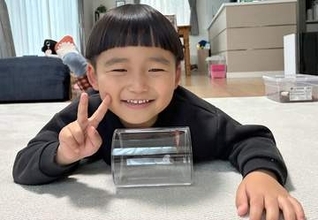 こんな色見たことない…クビキリギスの「ピンクちゃん」　横浜の4歳児、公園で捕獲