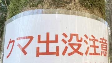 伊勢原の県立公園にツキノワグマ出没　ふん発見、安全確保のため一時閉園