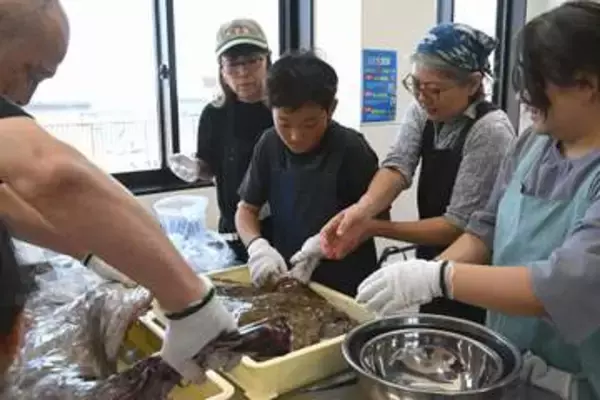 ぬるぬる感触、新名物に悪戦苦闘　小田原であんこう解体体験