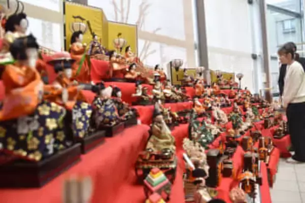 華やかな姿が圧巻…川崎でひな人形展示、3日に和菓子と抹茶楽しむ「茶会」も