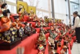 華やかな姿が圧巻…川崎でひな人形展示、3日に和菓子と抹茶楽しむ「茶会」も