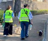「犬の散歩で地域防災力の強化へ　神奈川・綾瀬市、5月から「わんわんパトロール」」の画像1