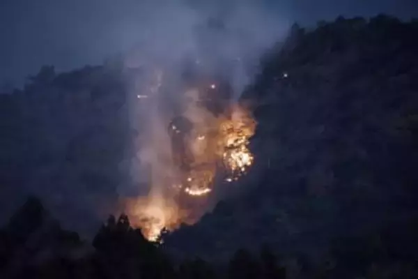 伊勢原・日向山の山林火災が鎮火　登山道の通行止め、順次解除へ　1.3ヘクタール焼く