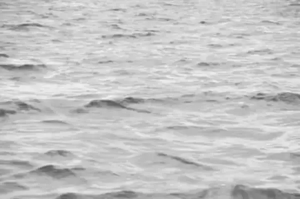 横須賀・津久井浜海岸沖で男性の遺体発見　15日から行方不明のレンタルボート店主か