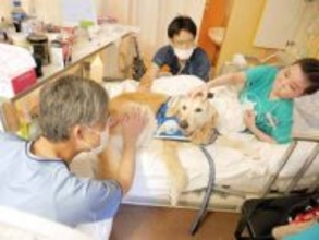 闘病中の子ども支えるファシリティドッグ、横浜の医療施設で活躍「一緒なら頑張れる」　引き継ぎ式で伝えた感謝