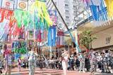 「平塚の夏の風物詩「七夕まつり」、暑さ対策で小学生以下はパレード短縮へ　概要が決定」の画像1