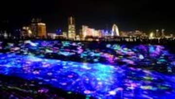 横浜の臨海部彩る恒例のイルミイベント　4日開幕、内覧会で咲き乱れる光の花
