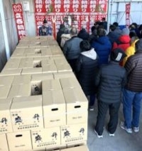 「立春」朝搾りの日本酒、特別ラベルで約2300本瓶詰め　厚木の黄金井酒造、日本名門酒会の取り組みに参加　