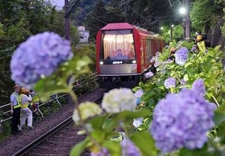 闇夜に浮かぶアジサイ、車窓から…箱根登山電車沿線でライトアップ始まる　13日から「夜のあじさい号」も運行
