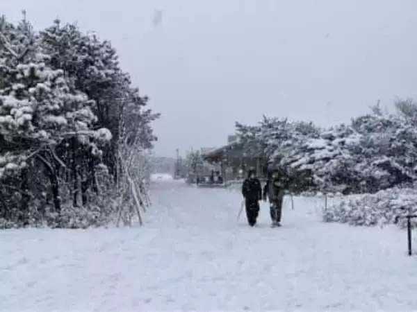 平塚、相模原、藤沢など26市町村に大雪警報　横浜市中区で積雪5センチ