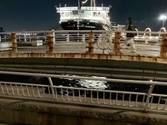 横浜・山下公園近くの岸壁に遺体　警察が身元を捜査