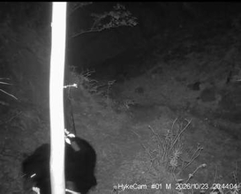 秦野にツキノワグマ再び出没　放獣と同一個体　3登山道閉鎖、神奈川県と市は捕殺を視野に対応検討