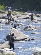 神奈川各地でアユ釣り解禁　早朝から釣果求め、太公望ら各河川へ