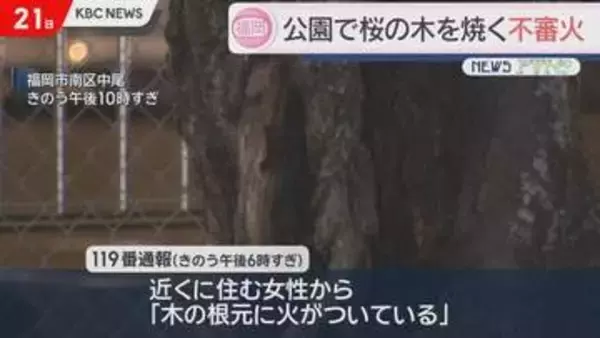 福岡市南区の公園で桜の木が焼ける　不審火か